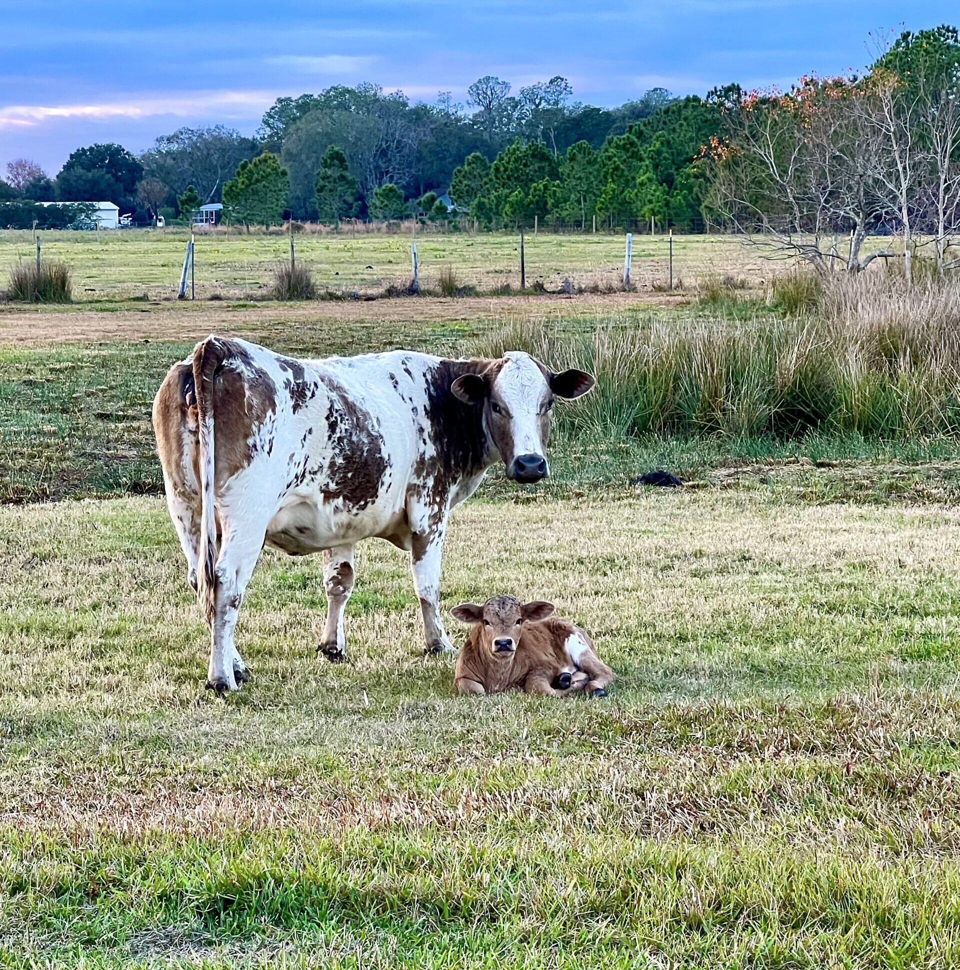 Hello world!